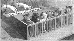 Cat-piano-La-Nature-300x167